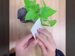 halb-transparente elastische Filmbehandlung